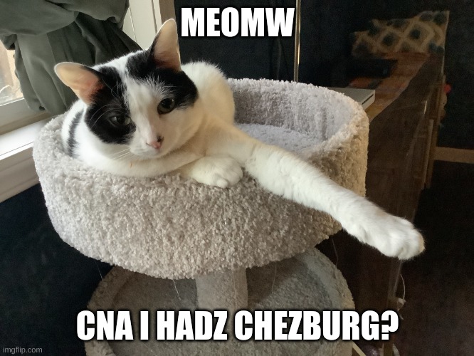 meomw | MEOMW; CNA I HADZ CHEZBURG? | image tagged in i ll do it tomorrow | made w/ Imgflip meme maker