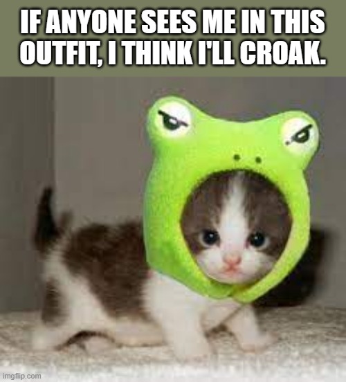 memes by Brad cute kitten in a frog costume - humor | IF ANYONE SEES ME IN THIS OUTFIT, I THINK I'LL CROAK. | image tagged in cats,funny,funny cat memes,cute kitten,kittens,humor | made w/ Imgflip meme maker