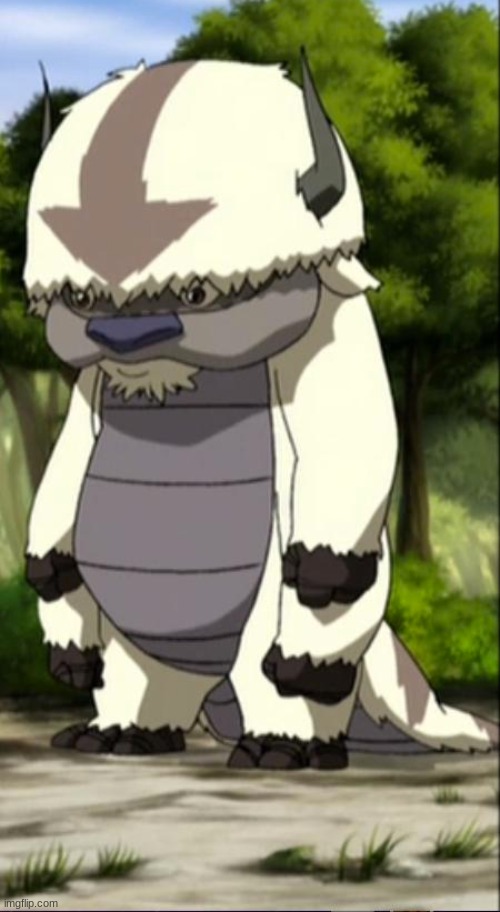 Appa | image tagged in appa | made w/ Imgflip meme maker