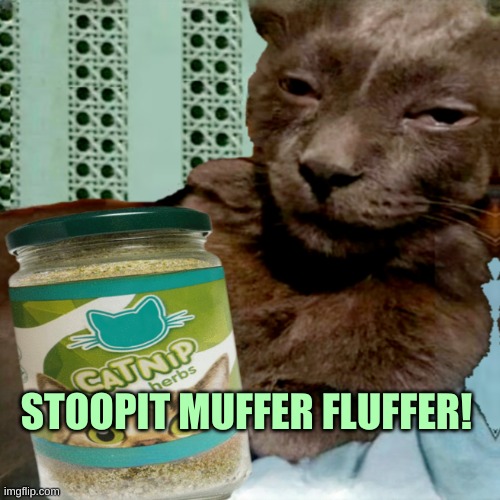 Shit Poster 4 Lyfe | STOOPIT MUFFER FLUFFER! | image tagged in shit poster 4 lyfe | made w/ Imgflip meme maker