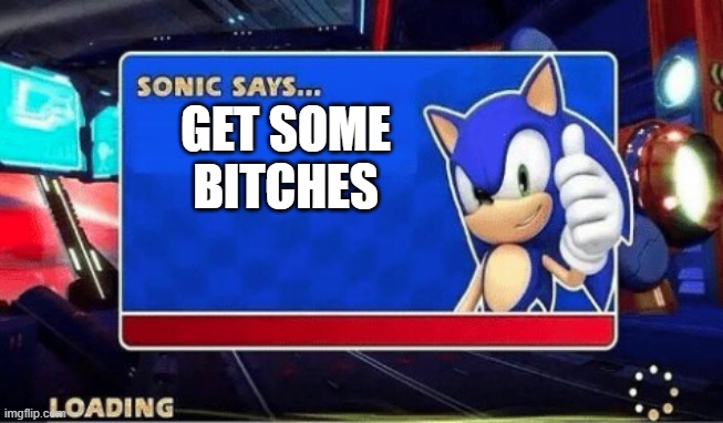 Sonic Says | GET SOME BITCHES | image tagged in sonic says | made w/ Imgflip meme maker