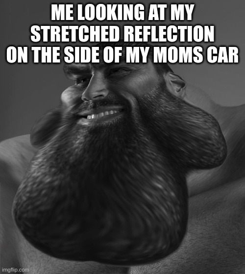 hehe face go stretch | ME LOOKING AT MY STRETCHED REFLECTION ON THE SIDE OF MY MOMS CAR | image tagged in relatable,stretch,big chungus,memes | made w/ Imgflip meme maker