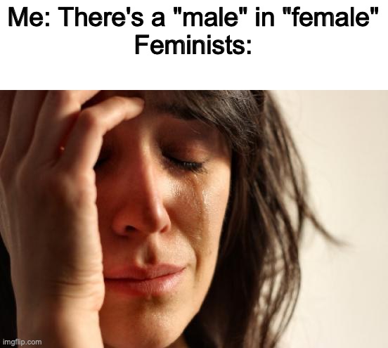 cry your hearts out but that aint changin | Me: There's a "male" in "female"
Feminists: | image tagged in memes,first world problems,funny,animals,humans,males | made w/ Imgflip meme maker