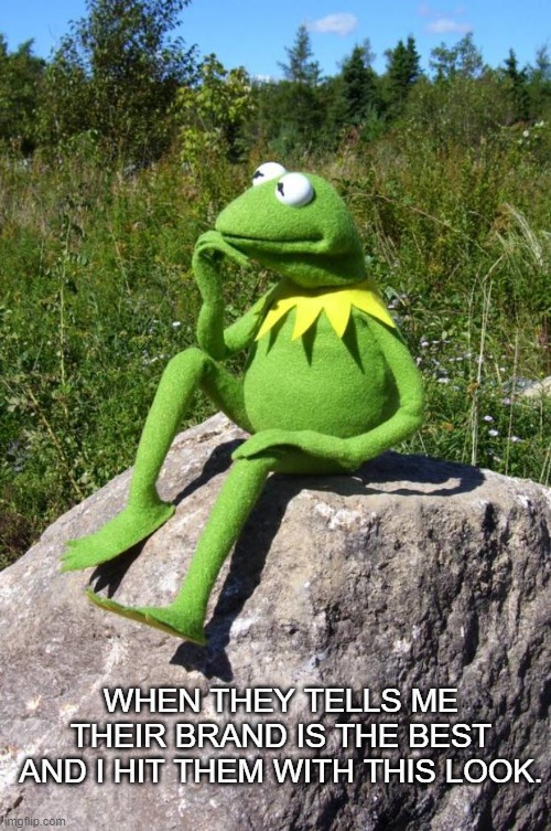 Kermit-thinking | WHEN THEY TELLS ME THEIR BRAND IS THE BEST AND I HIT THEM WITH THIS LOOK. | image tagged in kermit-thinking | made w/ Imgflip meme maker