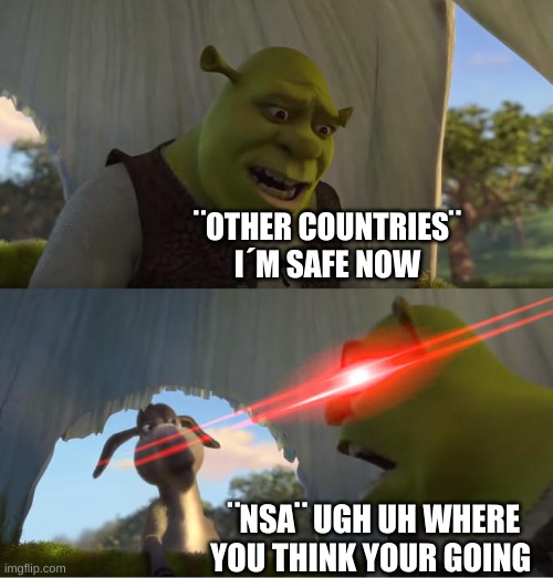 Shrek | ¨OTHER COUNTRIES¨ I´M SAFE NOW; ¨NSA¨ UGH UH WHERE YOU THINK YOUR GOING | image tagged in shrek for five minutes | made w/ Imgflip meme maker