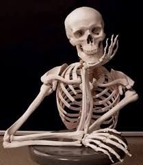 scheletro 2 Blank Meme Template