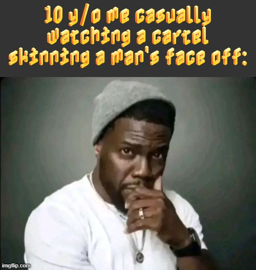 kevin hart stare | 10 y/o me casually watching a cartel skinning a man's face off: | image tagged in kevin hart stare | made w/ Imgflip meme maker