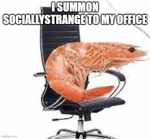 chair shrimp | I SUMMON SOCIALLYSTRANGE TO MY OFFICE | image tagged in chair shrimp | made w/ Imgflip meme maker