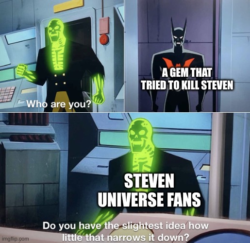 Steven universe meme | A GEM THAT TRIED TO KILL STEVEN; STEVEN UNIVERSE FANS | image tagged in do you have the slightest idea how little that narrows it down | made w/ Imgflip meme maker