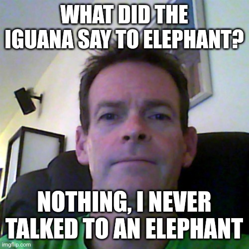 middle aged guy | WHAT DID THE IGUANA SAY TO ELEPHANT? NOTHING, I NEVER TALKED TO AN ELEPHANT | image tagged in middle aged guy | made w/ Imgflip meme maker