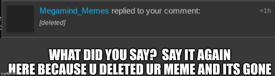WHAT DID YOU SAY?  SAY IT AGAIN HERE BECAUSE U DELETED UR MEME AND ITS GONE | made w/ Imgflip meme maker