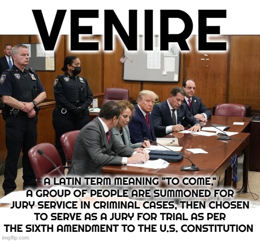 VENIRE | VENIRE; A LATIN TERM MEANING "TO COME," A GROUP OF PEOPLE ARE SUMMONED FOR JURY SERVICE IN CRIMINAL CASES, THEN CHOSEN TO SERVE AS A JURY FOR TRIAL AS PER THE SIXTH AMENDMENT TO THE U.S. CONSTITUTION | image tagged in venire,jury duty,criminal case,6th amendment,jury selection,trial | made w/ Imgflip meme maker
