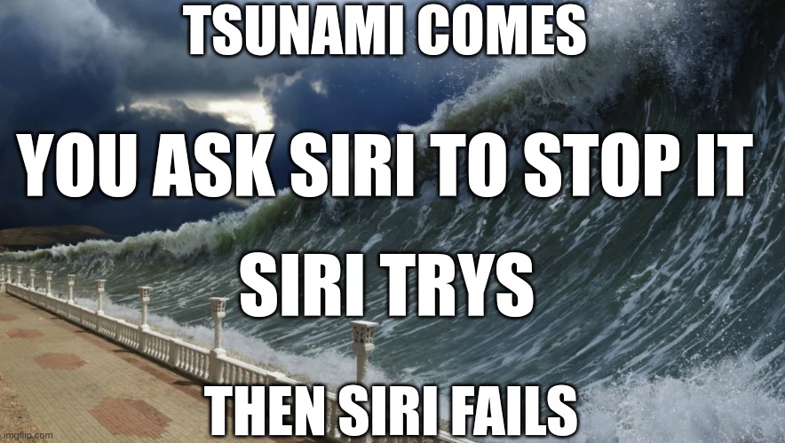 Siri bot | TSUNAMI COMES; YOU ASK SIRI TO STOP IT; SIRI TRYS; THEN SIRI FAILS | image tagged in funny | made w/ Imgflip meme maker