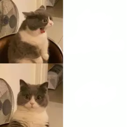 Cat screaming nevermind Blank Meme Template
