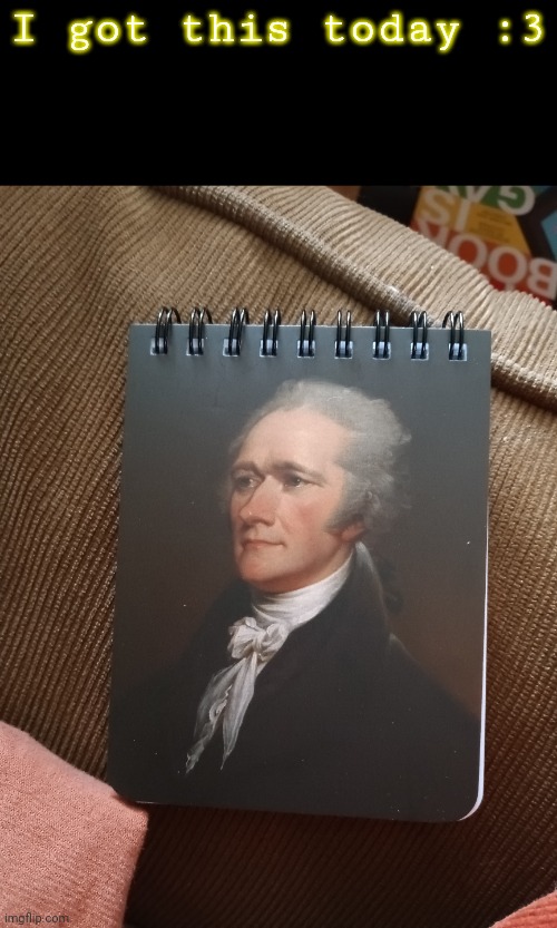 The boy | I got this today :3 | image tagged in hamilton,alexander hamilton | made w/ Imgflip meme maker
