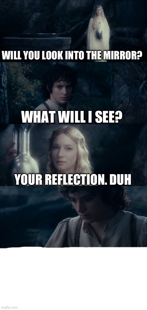 Stupid Frodo | WILL YOU LOOK INTO THE MIRROR? WHAT WILL I SEE? YOUR REFLECTION. DUH | image tagged in will you look into the mirror | made w/ Imgflip meme maker