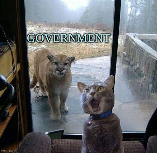 House Cat with Mountain Lion at the door | GOVERNMENT | image tagged in house cat with mountain lion at the door,government,evil government,threat,deadly,danger | made w/ Imgflip meme maker