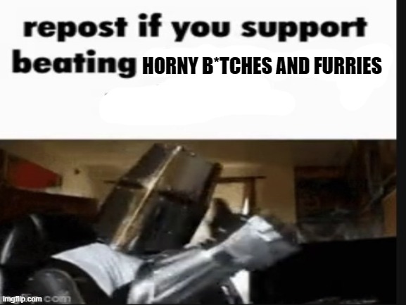 repost if you support beating the shit out of pedophiles | HORNY B*TCHES AND FURRIES | image tagged in repost if you support beating the shit out of pedophiles | made w/ Imgflip meme maker