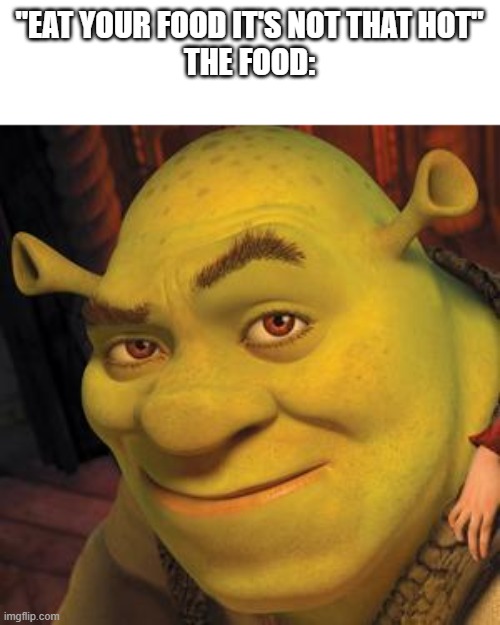 He's my favourite Dreamworks character | "EAT YOUR FOOD IT'S NOT THAT HOT"
THE FOOD: | image tagged in shrek sexy face,dreamworks,shrek | made w/ Imgflip meme maker