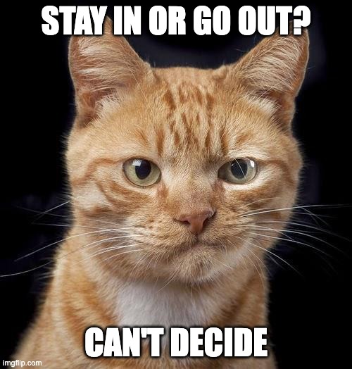 Indecisive Cat | STAY IN OR GO OUT? CAN'T DECIDE | image tagged in indecisive cat | made w/ Imgflip meme maker