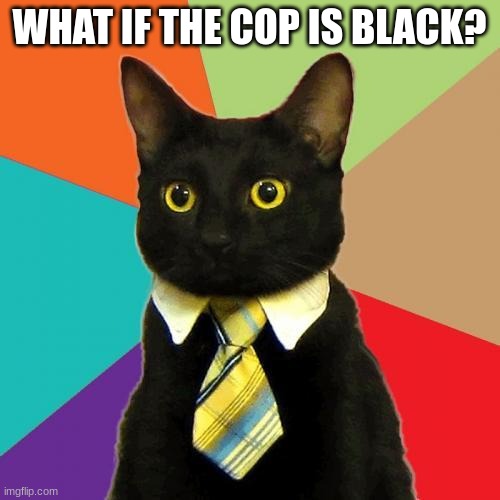 WHAT IF THE COP IS BLACK? | image tagged in black cat in tie | made w/ Imgflip meme maker