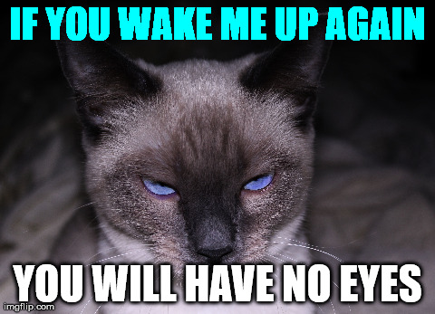 IF YOU WAKE ME UP AGAIN YOU WILL HAVE NO EYES | made w/ Imgflip meme maker