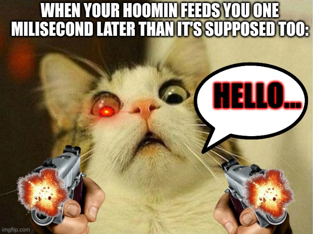Scared Cat Meme | WHEN YOUR HOOMIN FEEDS YOU ONE MILISECOND LATER THAN IT'S SUPPOSED TOO:; HELLO... | image tagged in memes,scared cat | made w/ Imgflip meme maker