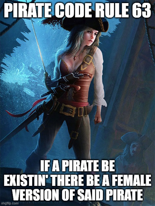 PIRATE CODE RULE 63; IF A PIRATE BE EXISTIN' THERE BE A FEMALE VERSION OF SAID PIRATE | image tagged in memes,pirates | made w/ Imgflip meme maker