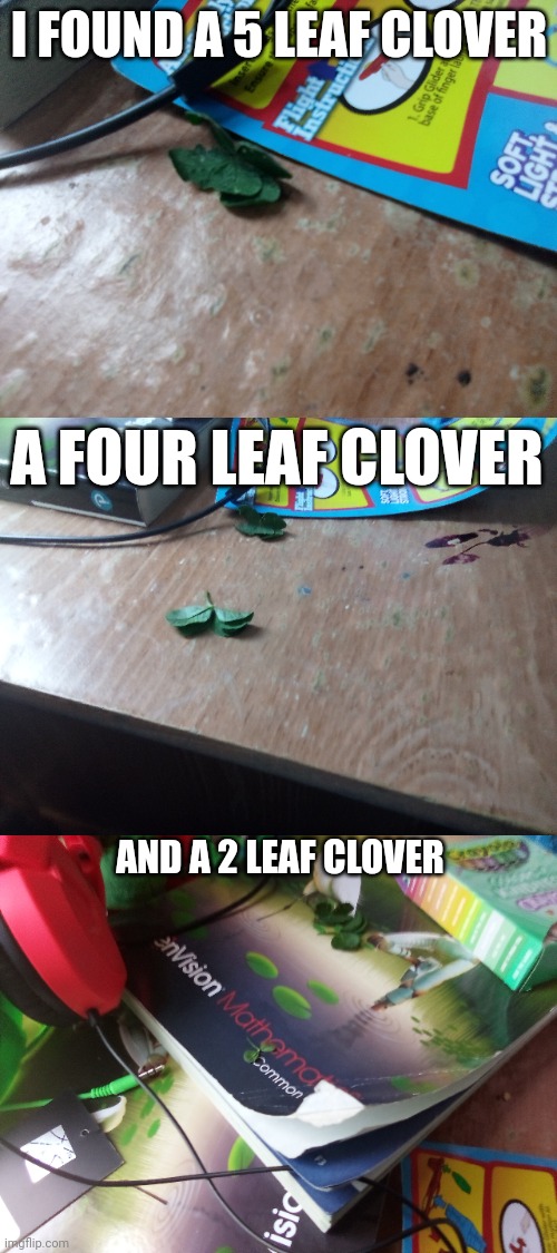 WHAT IS MY LUCK?! | I FOUND A 5 LEAF CLOVER; A FOUR LEAF CLOVER; AND A 2 LEAF CLOVER | made w/ Imgflip meme maker