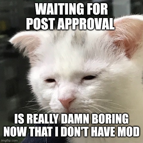 I didn't even appreciate it that much until I lost it and now have to wait for a bunch of lazy (No offense) mods to approve post | WAITING FOR POST APPROVAL; IS REALLY DAMN BORING NOW THAT I DON'T HAVE MOD | image tagged in i'm awake but at what cost | made w/ Imgflip meme maker