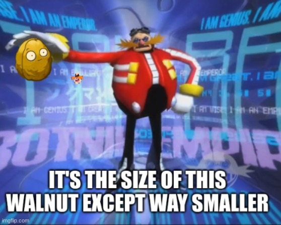 It's the size of this walnut except way smaller | image tagged in it's the size of this walnut except way smaller | made w/ Imgflip meme maker