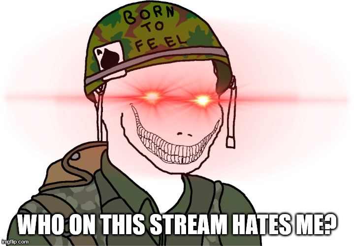 USA Vietnam War wojak | WHO ON THIS STREAM HATES ME? | image tagged in usa vietnam war wojak | made w/ Imgflip meme maker