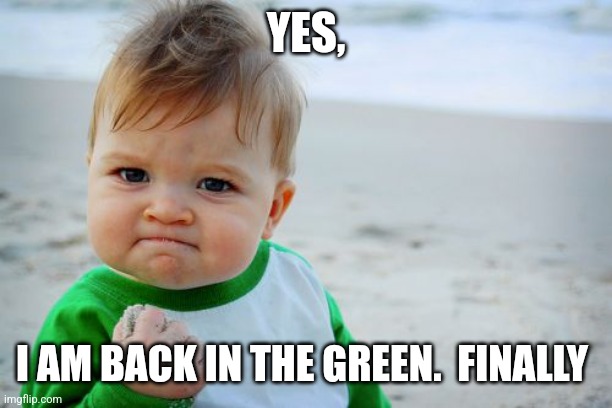 Finally back in the green | YES, I AM BACK IN THE GREEN.  FINALLY | image tagged in memes,success kid original | made w/ Imgflip meme maker