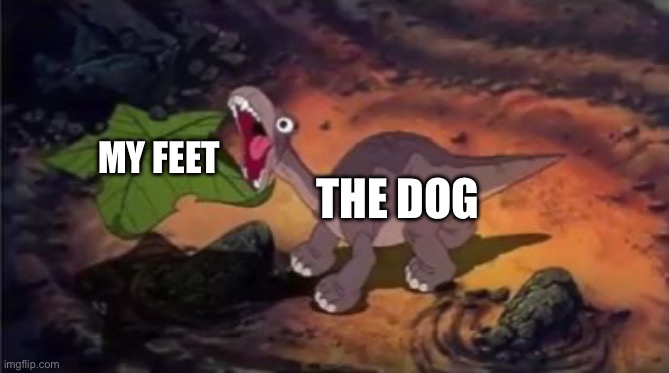 Nom nom nom | THE DOG; MY FEET | image tagged in dinosaur eating | made w/ Imgflip meme maker