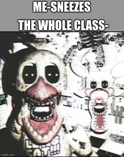 WHAT did I do | THE WHOLE CLASS-; ME-SNEEZES | image tagged in withered chica and mangle,fnaf,memes,fun,chica,mangle | made w/ Imgflip meme maker