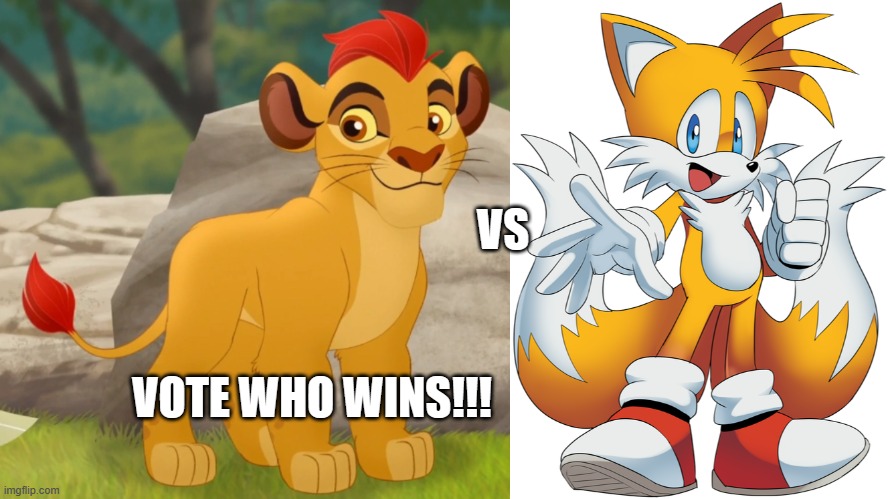 Fight | VS; VOTE WHO WINS!!! | image tagged in kion,tails the fox | made w/ Imgflip meme maker