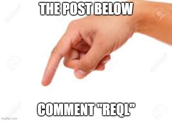 the person below | THE POST BELOW; COMMENT "REQL" | image tagged in the person below | made w/ Imgflip meme maker