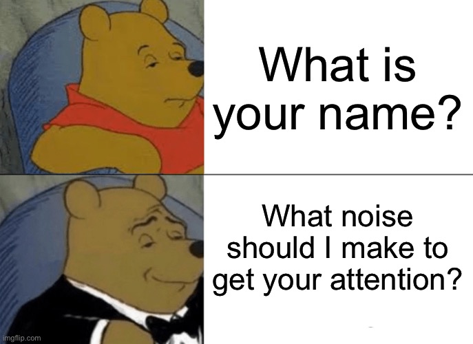 Tuxedo Winnie The Pooh Meme | What is your name? What noise should I make to get your attention? | image tagged in memes,tuxedo winnie the pooh | made w/ Imgflip meme maker