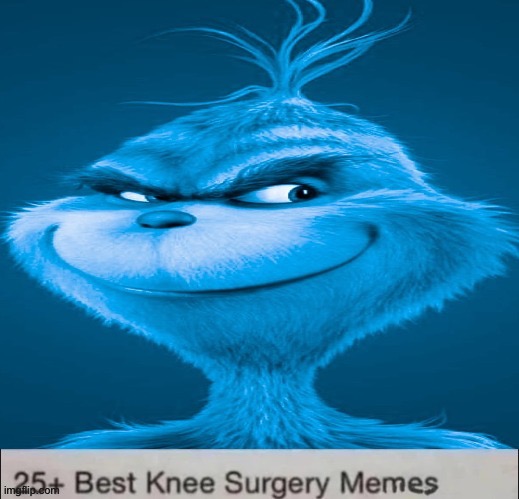 Blue Grinch Knee Surgery template | image tagged in blue grinch knee surgery template | made w/ Imgflip meme maker