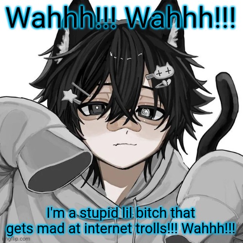 tfym I ain't masculine? | Wahhh!!! Wahhh!!! I'm a stupid lil bitch that gets mad at internet trolls!!! Wahhh!!! | image tagged in tfym i ain't masculine | made w/ Imgflip meme maker