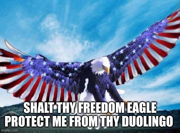 Freedom eagle | SHALT THY FREEDOM EAGLE PROTECT ME FROM THY DUOLINGO | image tagged in freedom eagle | made w/ Imgflip meme maker