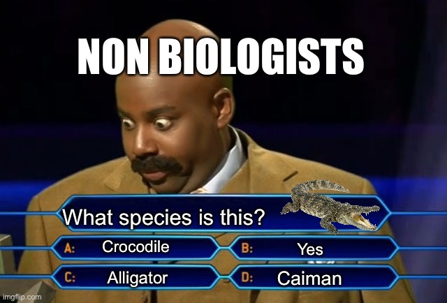 Non biologists be like | NON BIOLOGISTS; What species is this? Crocodile; Yes; Caiman; Alligator | image tagged in who wants to be a millionaire | made w/ Imgflip meme maker