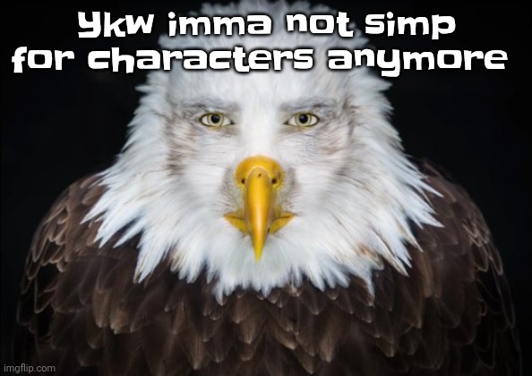 What was up with me bro. (Nah my braincreature didn't do it) | Ykw imma not simp for characters anymore | image tagged in bald eagle stare | made w/ Imgflip meme maker