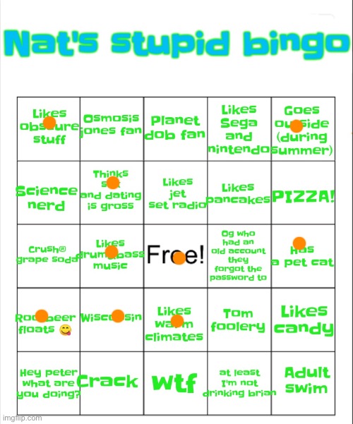 Nat's stupid bingo | image tagged in nat's stupid bingo | made w/ Imgflip meme maker