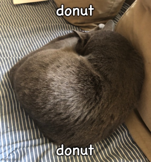 donut; donut | made w/ Imgflip meme maker