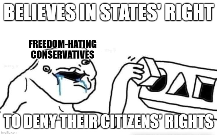 Imagine using our government of, by, and for us to uphold, rather than deny, each other's rights. | BELIEVES IN STATES' RIGHT; FREEDOM-HATING
CONSERVATIVES; TO DENY THEIR CITIZENS' RIGHTS | image tagged in stupid dumb drooling puzzle,conservative logic,freedom,human rights,scumbag government,civil rights | made w/ Imgflip meme maker