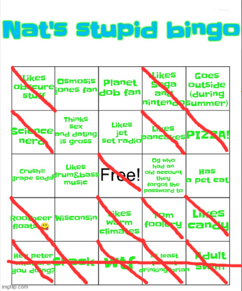 Nat's stupid bingo | image tagged in nat's stupid bingo | made w/ Imgflip meme maker