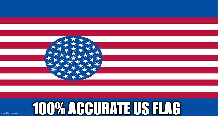 by your definition | 100% ACCURATE US FLAG | image tagged in msmg | made w/ Imgflip meme maker