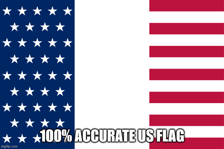 Responding to the Trans pride 'US flag' | 100% ACCURATE US FLAG | image tagged in accurate us flag,memes,100 | made w/ Imgflip meme maker