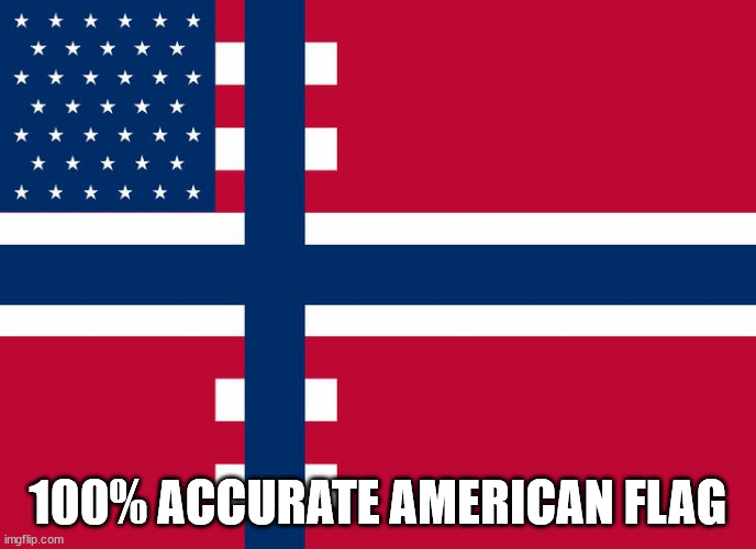 Responding to the trans 'us flag' | 100% ACCURATE AMERICAN FLAG | image tagged in msmg | made w/ Imgflip meme maker